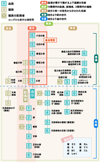 直系尊属とは