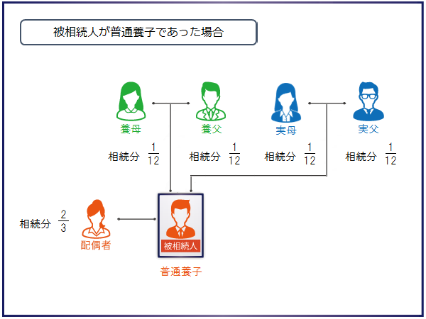 被相続人が普通養子であった場合の相続人と相続分