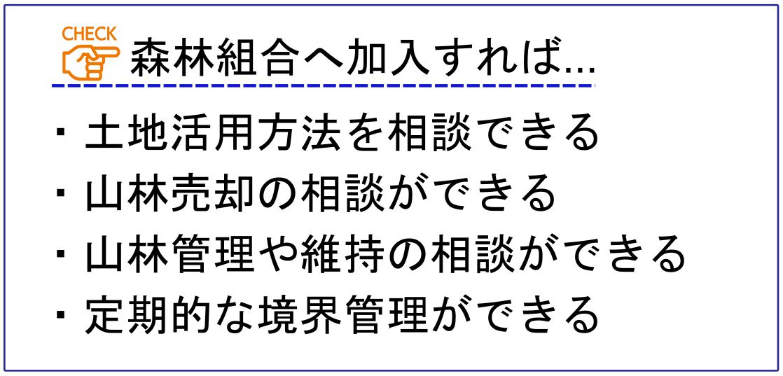 森林組合へ加入するメリット